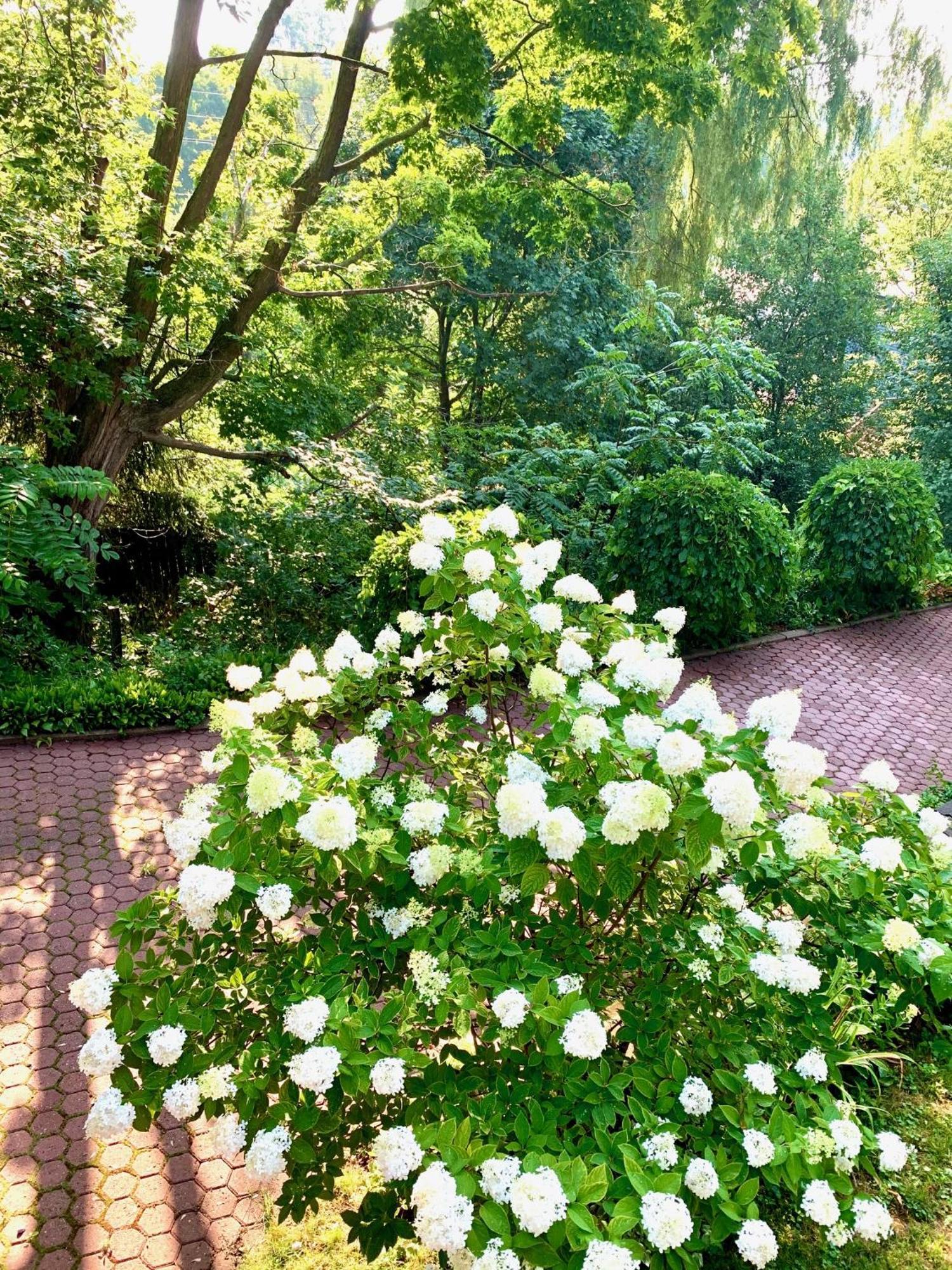 Plantation House Bed & Breakfast Port Hope Exterior photo