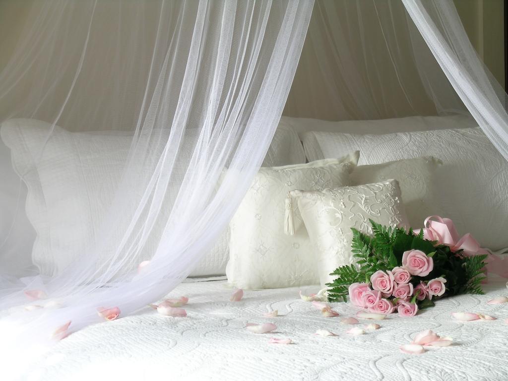 Plantation House Bed & Breakfast Port Hope Room photo